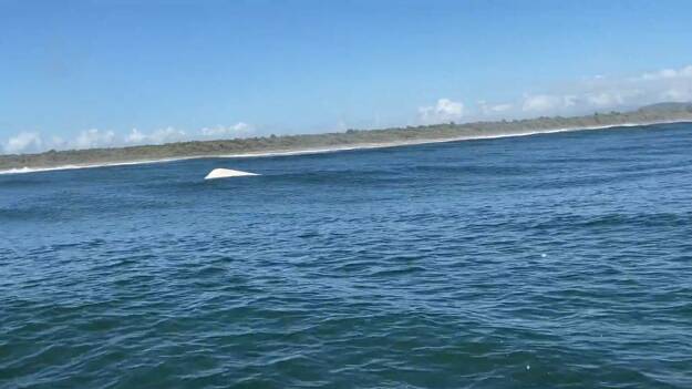 A still from the video supplied by Marine Rescue NSW. 