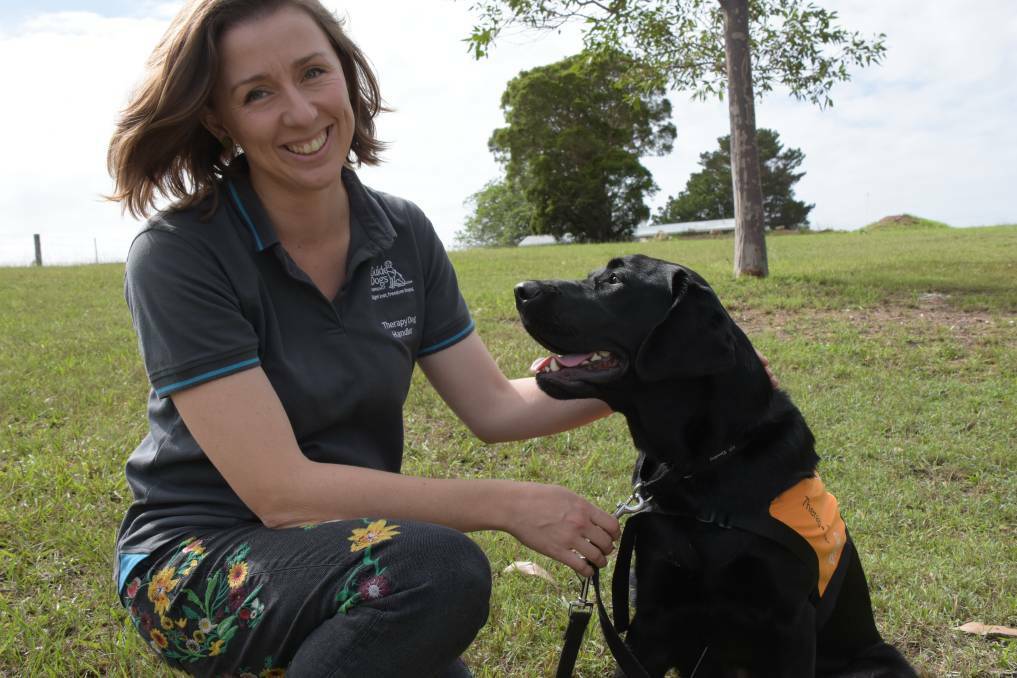Helpful hounds: Handler Chloe Webster with Nowra courthouse companion, Shawn. 
