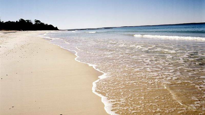 Woman in hospital after likely shark attack at Hyams Beach