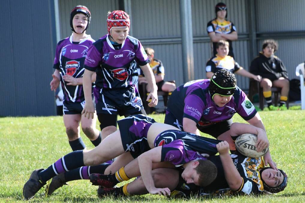 The Storm have enjoyed the move to Group Seven Rugby League. Photo: Phil Benson