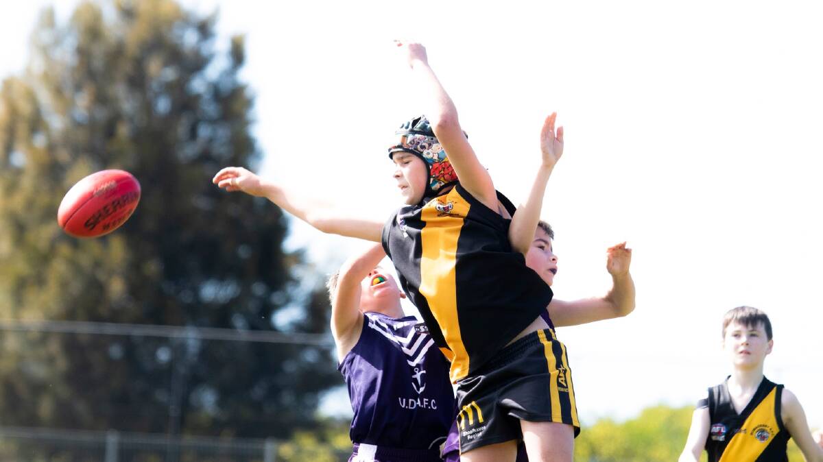 The Bomaderry Tigers U11 side had a strong season last year. Picture by Team Shot Studios. 