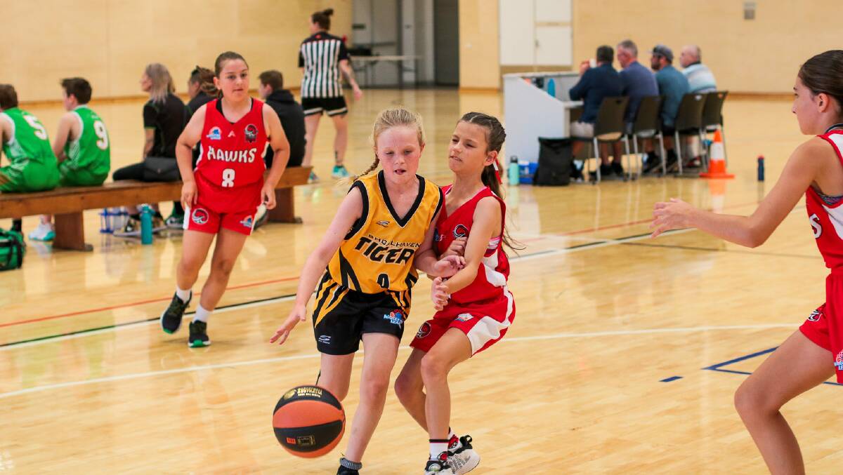 Shoalhaven U12 Girls continue to show progress, week in and week out. Picture by Greg Turner 