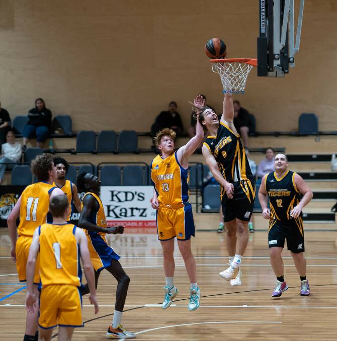 SLAM DUNK: Tigers' captain Bruce Ozolins going in for the slam in the team's earlier season victory against the Canberra Gunners. Picture: Shoalhaven Basketball Association. 