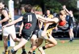 Bomaderry Tigers clashing with the Kiama Power in an earlier game this season. Picture by Team Shot Studios. 