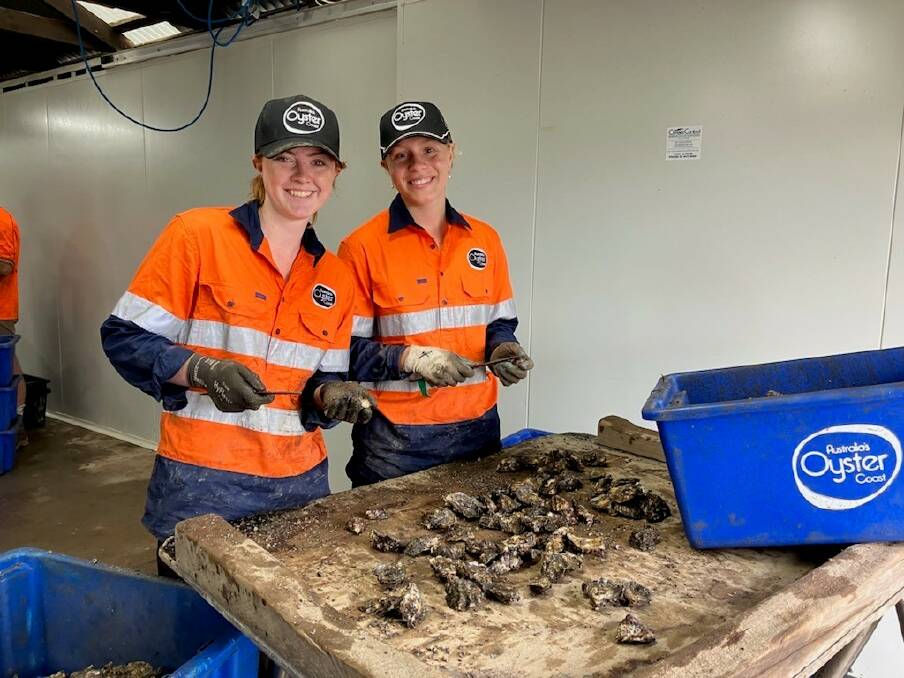 Skyla Robinson McEvoy and Lily Smith are spending their gap year in Narooma, learning the ropes at Australia's Oyster Coast. Picture supplied.