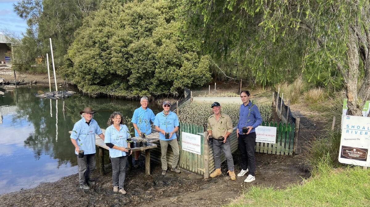 Shoalhaven Riverwatch runs a unique mangrove nursery at Greenwell Point. Their mangrove propagation and planting efforts are making a huge difference to the environment. Picture supplied.