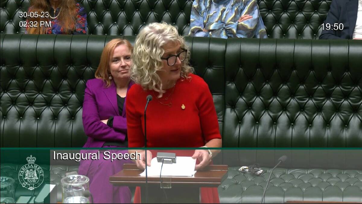 South Coast MP Liza Butler delivered her inaugural speech on May 30. Picture supplied.
