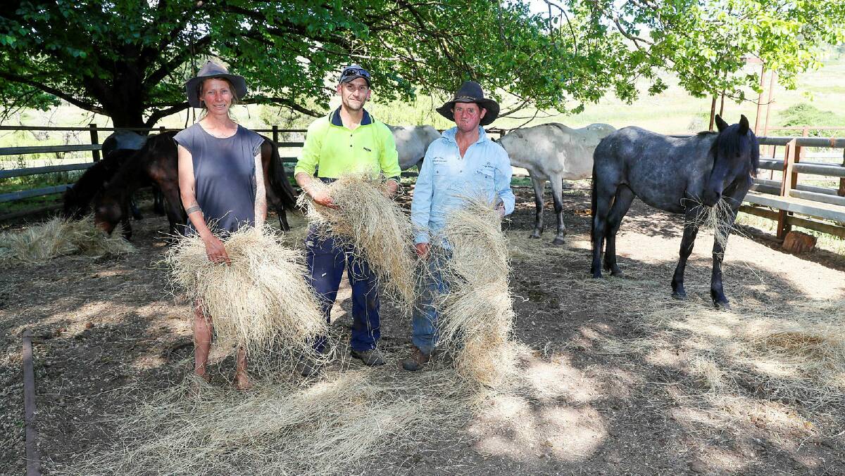 Rosewood brumby saver Robert Dodwell (right) with assistants Kate Andrew and Warren Price. Picture by Les Smith