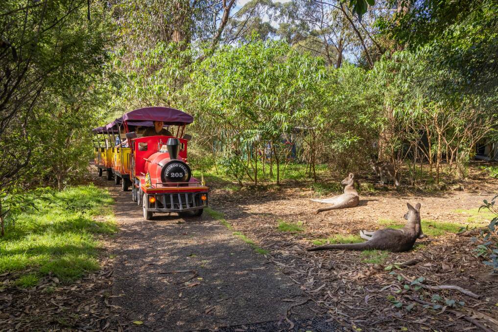 The train ride at Potoroo Palace. Picture supplied