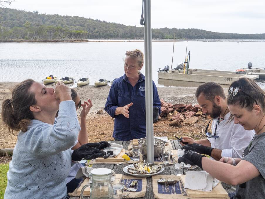 Visitors enjoy an oyster shucking and tasting session. Picture supplied