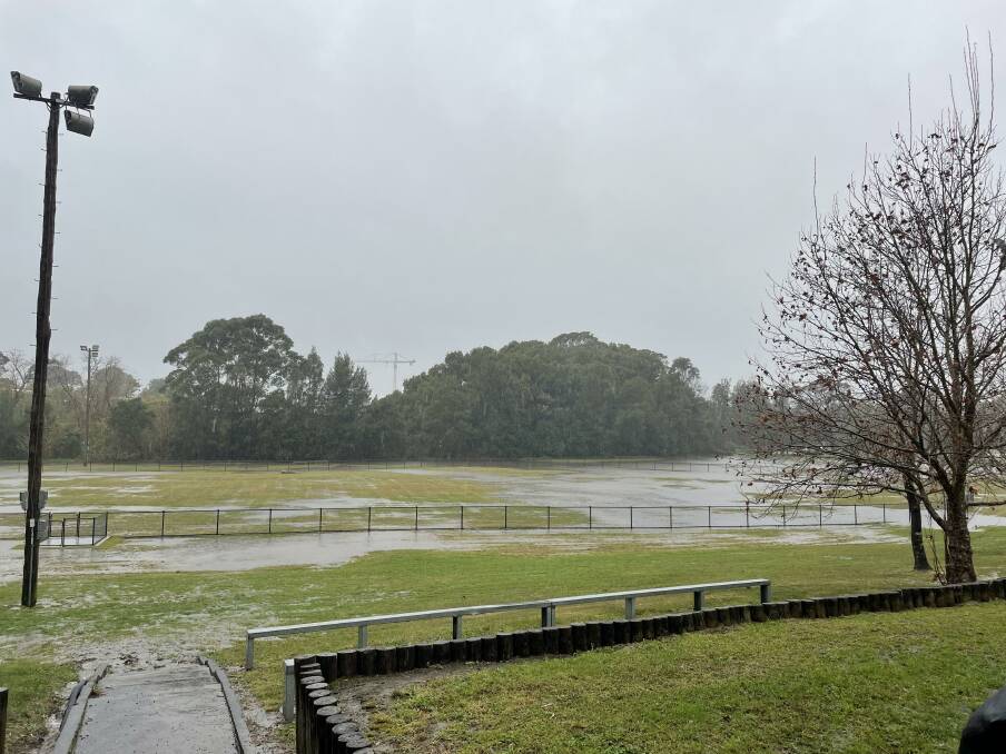 Dog park or duck park? Torrential rain flooding the new Bomo Dog Bowl. Picture: Tom McGann.