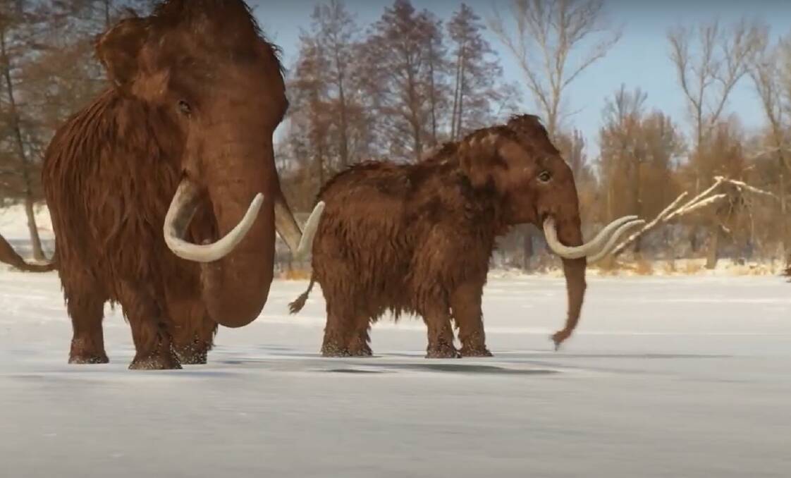 Woolly mammoths in the Arctic. Picture from Bringing Back the Woolly. 