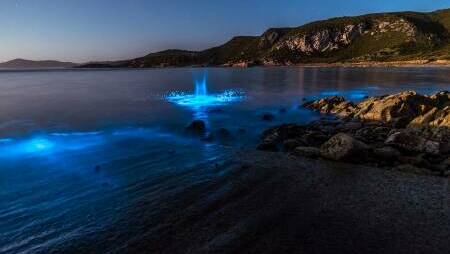Algal bioluminescence captured on film in Tasmania. Picture by Leanne Marshall.