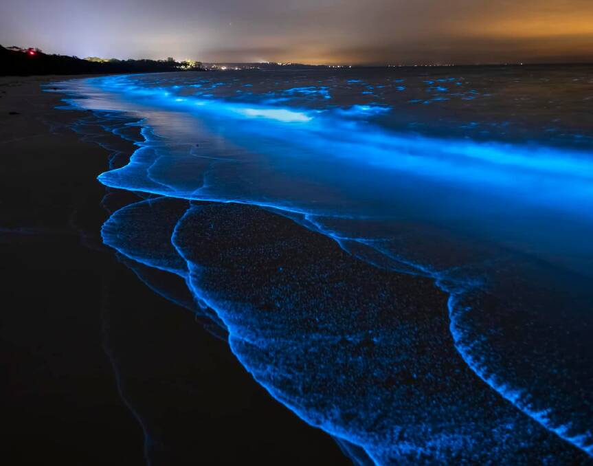 Vincentia photographer Maree Clout recently captured the bioluminescence around Greenpatch and Iluka within Booderee National Park, in an image shared by NSW Premier Chris Minns. Picture by Maree Clout.