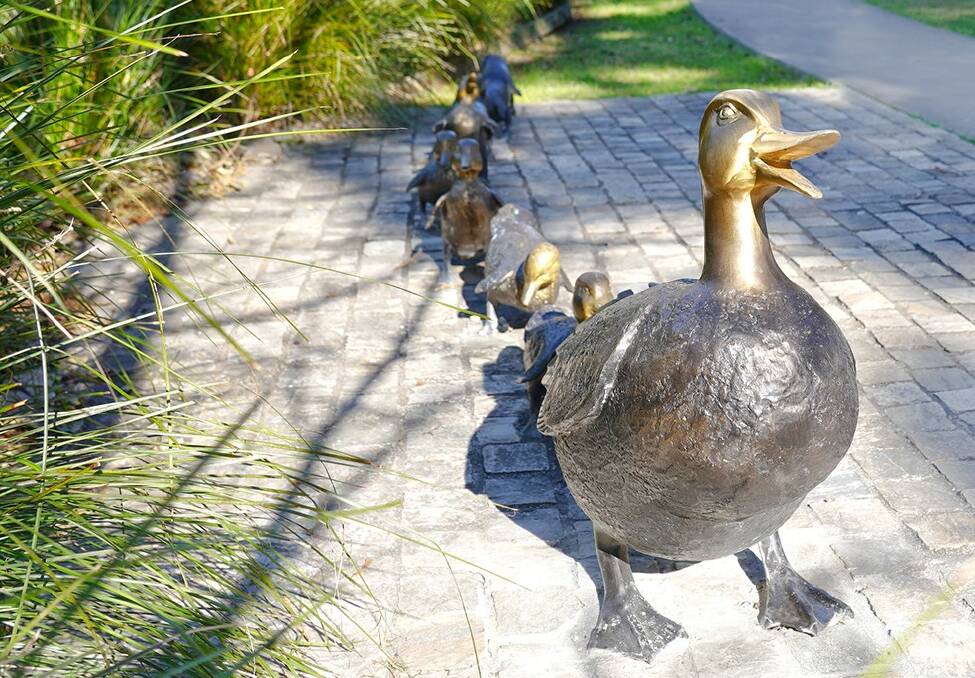 The mother duck is back with her babies in Berry's popular public art installation. Picture supplied.