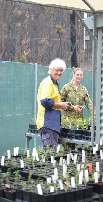 Nursery manager Di Clarke returned to the garden with manager Michael Anlezark on January 2 and is working with staff and the army to care for precious survivors.