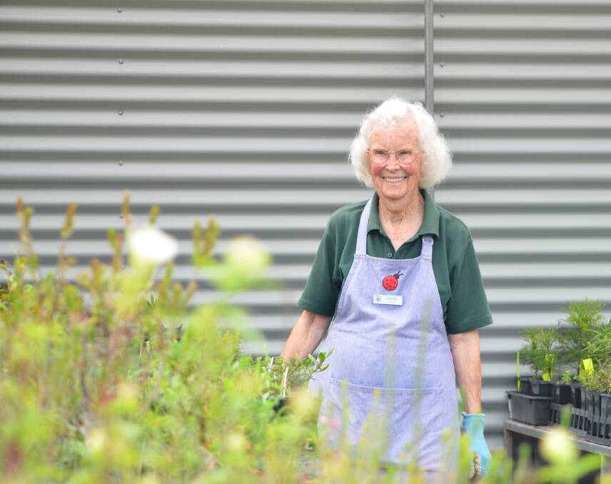 Audrey Maher tends her green charges in the garden's nursery.