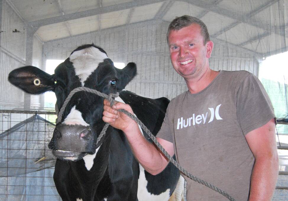 Numbaa dairy farmer Andrew Crawford with his prizewinning cow Coolea Deuce Dolly.