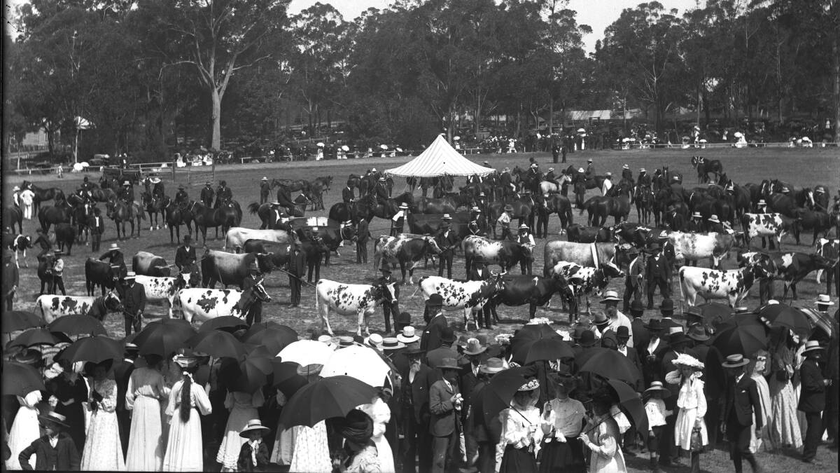 Nowra Show in the early 1900s. Picture supplied by Shoalhaven Historical Society