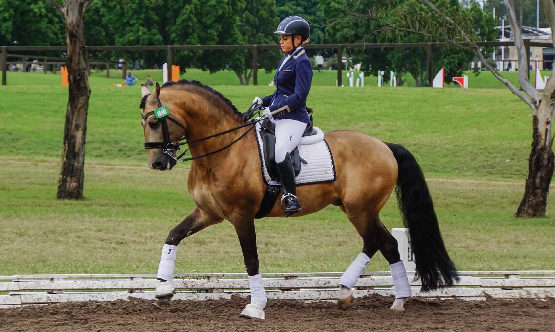 Shoalhaven's Victoria Davies and Celere work together to win the grade II champion title at the Sydney International three-day Para-dressage event earlier this month. Photo: Supplied