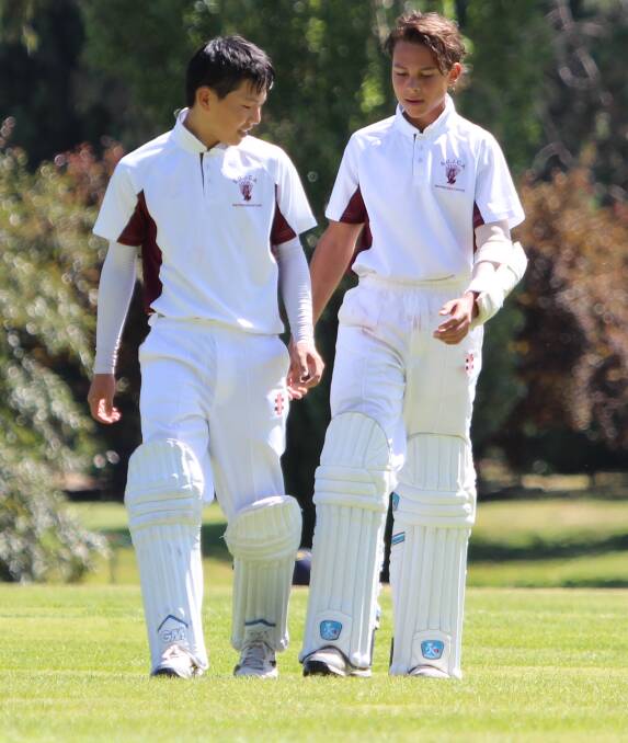 Shoalhaven's Hyeon Parsons and Lachlan Mark. Photo: Joanne Parsons