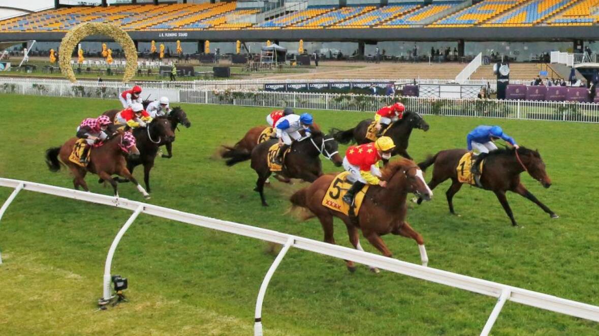 Jamaea (white silks) pushes to the finish line in the Golden Rose on Saturday. Photo: Supplied