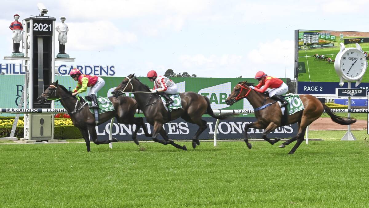 Blue MIssile takes line honours at Rosehill's TAB Highway race on February 20. Photo: BradleyPhotos.com.au