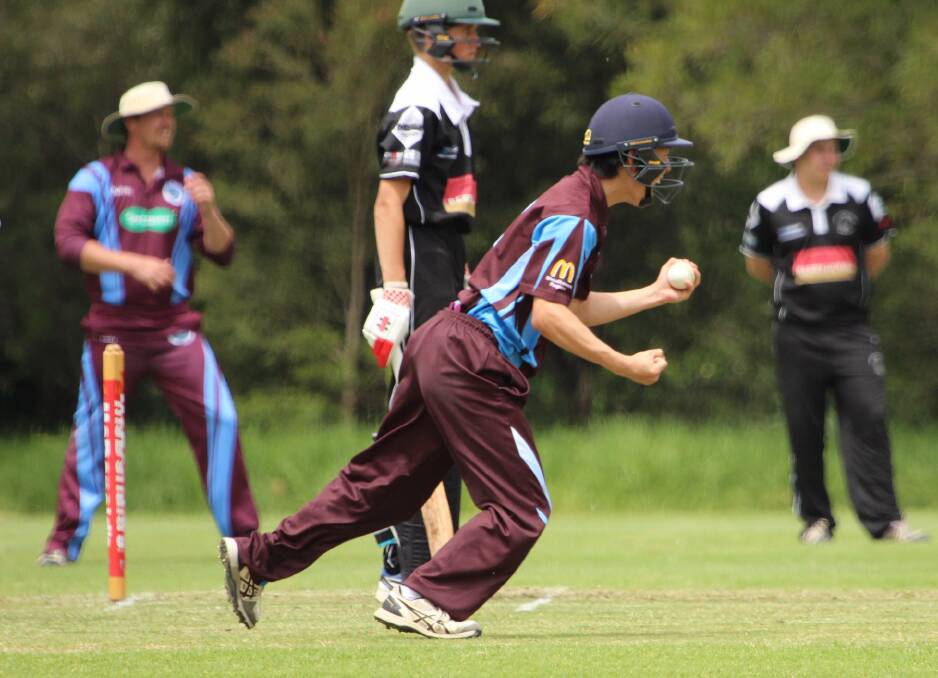 North Nowra-Cambewarra's Hyeon Parsons celebrates catching out Berry-Shoalhaven Heads' Alec Dobson, off the bowling of Matt Hickmott. Photo: Jo Parsons