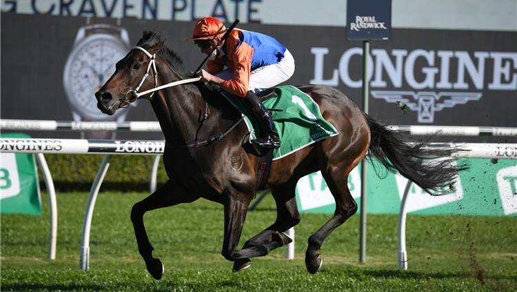 Nash Rawiller and Think It Over take out the Craven Plate at Randwick on Saturday. Photo: Supplied