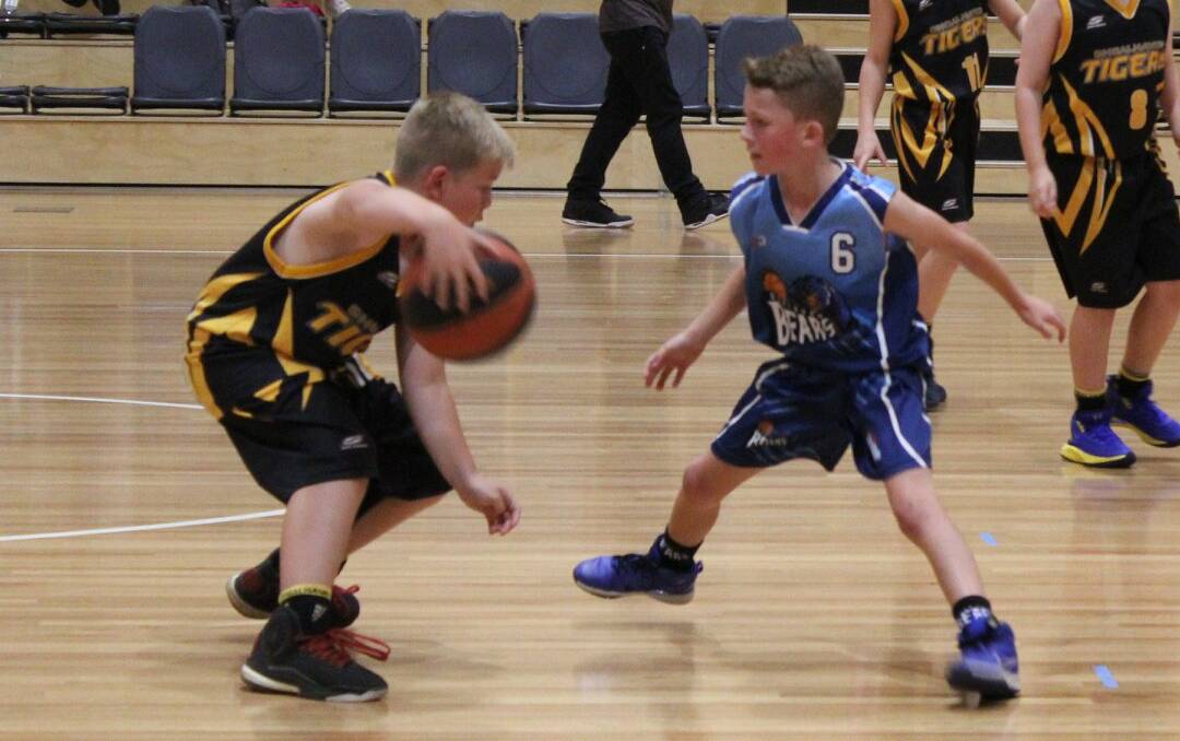 Junior Shoalhaven Tiger teams will travel all around the state for this weekend's NSW country championships. Photo: Supplied