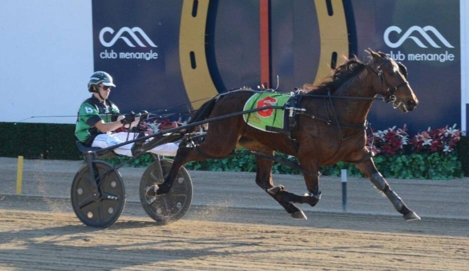 Mason Beresford and Sling Shot cross the line in first at Menangle. Photo: Chips Lett Photography