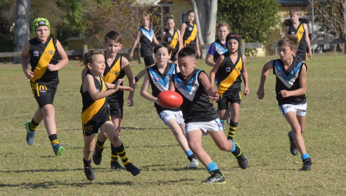 Bomaderry and Batemans Bay juniors will return to the field in July. Photo: Courtney Ward