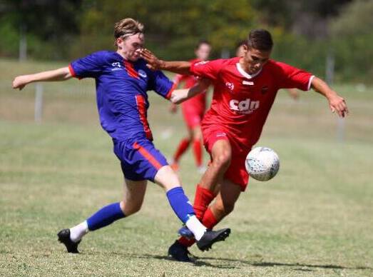 Brendan Low (right) in action for the Wollongong Wolves. Photo: PEDRO GARCIA PHOTOGRAPHY
