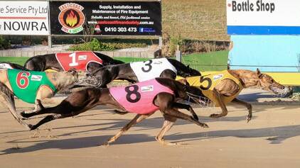 Greyhound Racing NSW has closed the Nowra track for the foreseeable future. Photo: ON THE BALL PHOTOGRAPHY