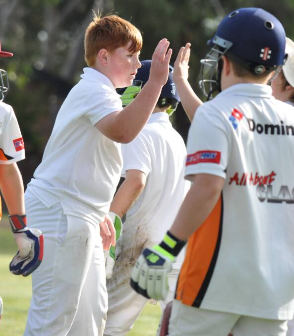 WELL DESERVED: Bomaderry Tigers under 11s star Jackson Ingram celebrates a wicket during his team's grand final against Batemans Bay at the weekend. Photo: DAMIAN McGILL