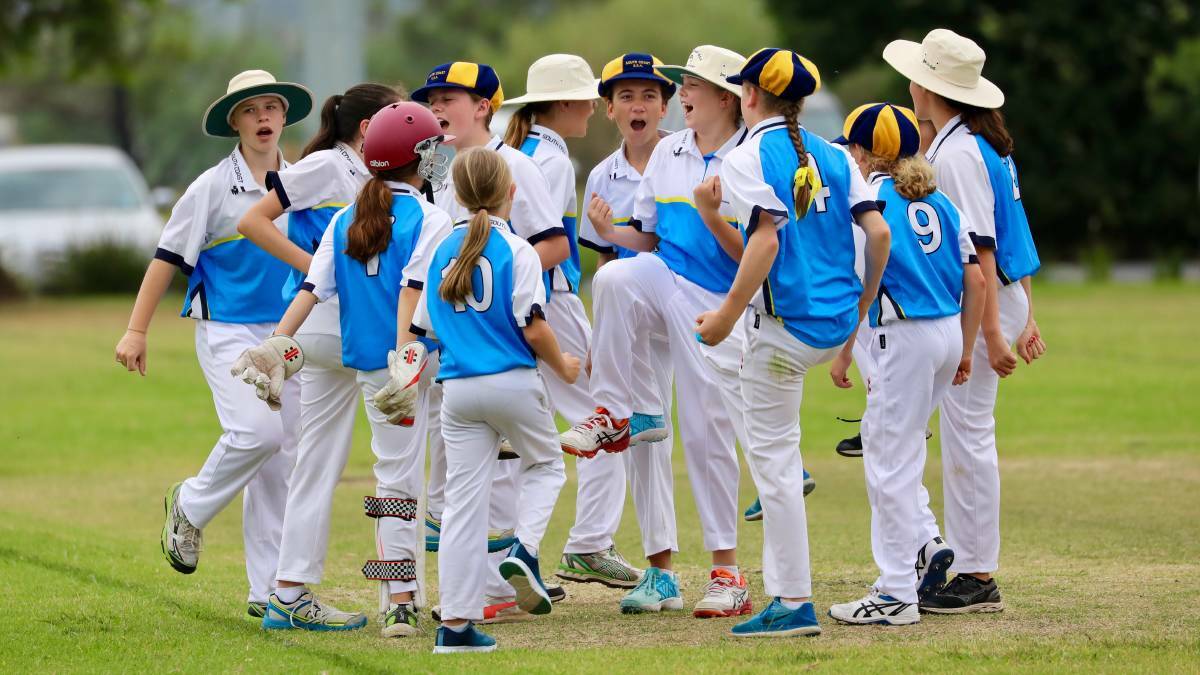 South Coast celebrate a wicket at last year's PSSA girls cricket carnival. Photo: SUPPLIED