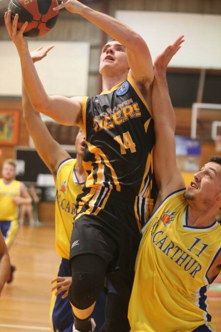 Shoalhaven Tigers' Riley O’Shannessy. Photo: ROBERT CRAWFORD