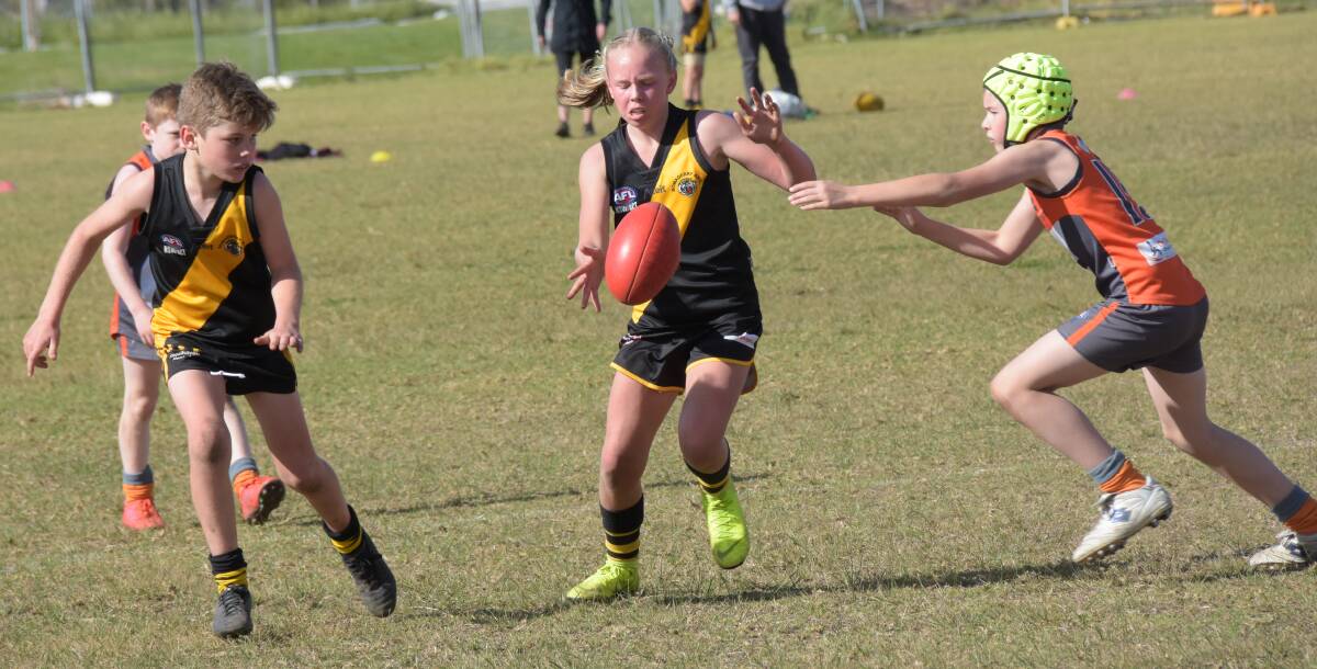 Bomaderry Tigers' Hannah Phillips gets a kick away against the Shoalhaven Giants in 2019. Photo: Courtney Ward