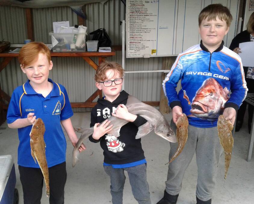 BIG CATCH: Juniors William, Ben and Jesse Dunn at the recent weigh-in.