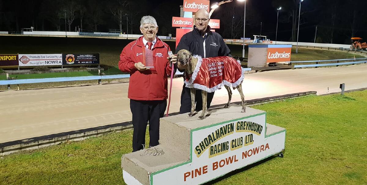 Glenn Midson with Michael Clayton and Hear the Drums. Photo: Shoalhaven Greyhound Racing Club