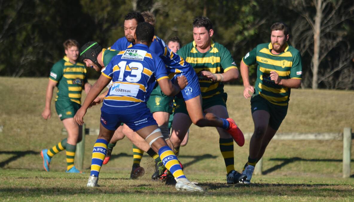 The Shoalhaven Rugby Club may still return to the field in 2020. Photo: Damian McGill