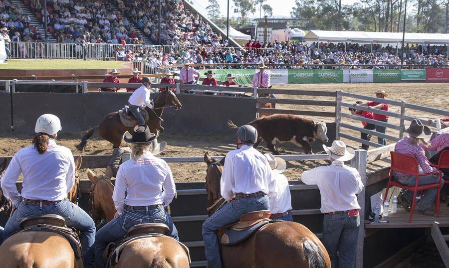 Willinga Park has decided to cancel the 2020 Gold Buckle Campdraft. Photo: SUPPLIED