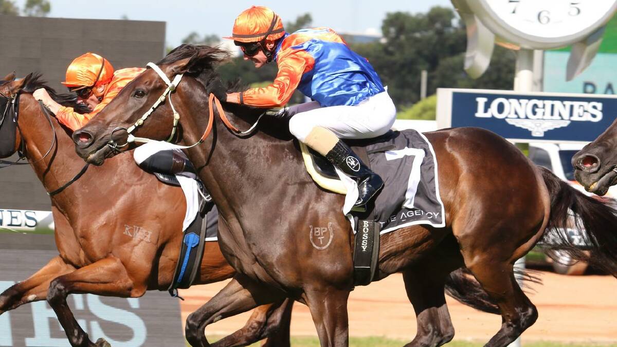 Think It Over will return to Randwick on Saturday after taking out the Group 2 Chelmsford Stakes last start. Photo: Grant Guy