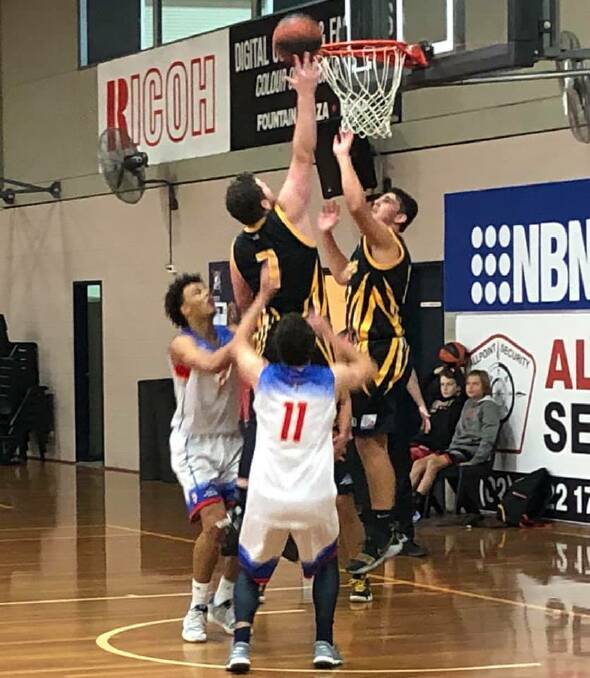REBOUND: Shoalhaven Tigers' Gavin Costain and Jeremy Harding attempt to control the ball against the Central Coast Crusaders on Sunday. Photo: CAROLYN HARDING