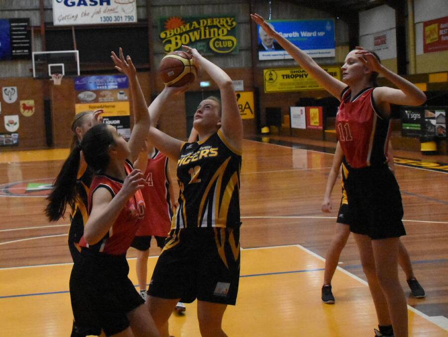 Tigers' Emma Drury takes a shot against Illawarra. Photo: COURTNEY WARD
