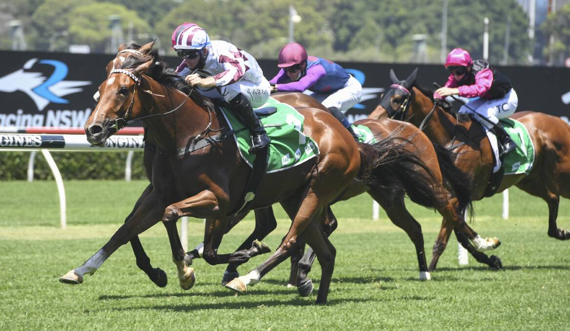Tom Berry and Art Cadeau power towards the finish line during the TAB Highway handicap at Randwick on January 23. Photo: BradleyPhotos.com.au