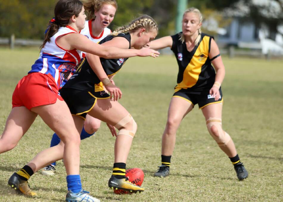 Bomaderry's Sophie Phillips attempts to win possession against Wollongong Bulldogs. Photo: TEAM SHOT STUDIOS