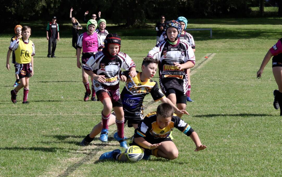 Under 11 Nowra Warrior Aiden Bowen-Cattel scores a try during his team's 42-nil win over Albion Park-Oak Flats last round. Photo: Kerrie Regan