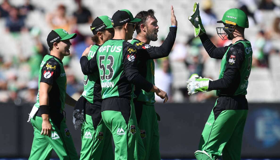 Nic Maddinson (53) and his Melbourne Stars celebrate a wicket on Sunday. Photo: Julian Smith