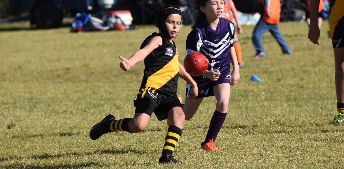 Join the action: Bomaderry Tigers' Wade McKenzie puts boot to ball in a junior AFL match last season.